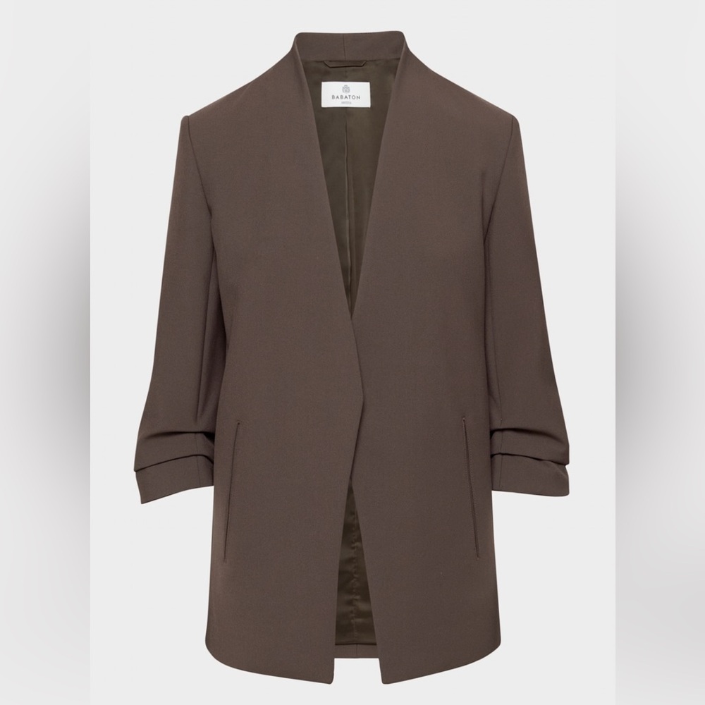 Aritzia Brown Blazer